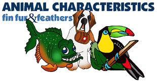 Animal classification game