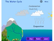 The water cycle